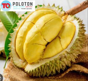 Sầu riêng sấy 1
