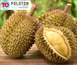 Sầu riêng sấy 2